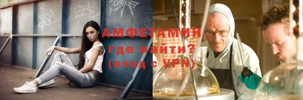 молекула духа Михайлов