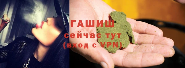 молекула духа Михайлов