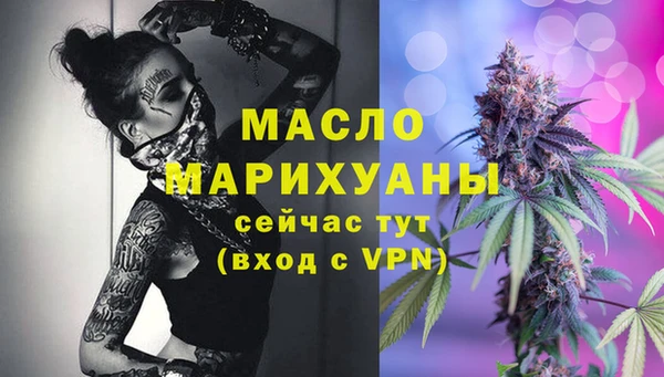 молекула духа Михайлов