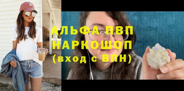 молекула духа Михайлов