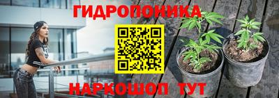 каннабис Абакан