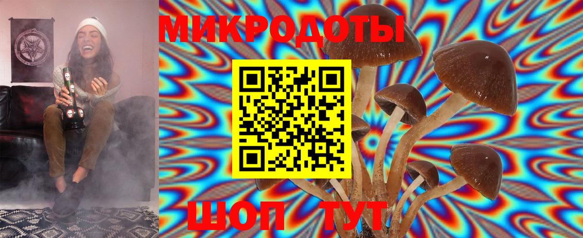 Галлюциногенные грибы мухоморы Саратов