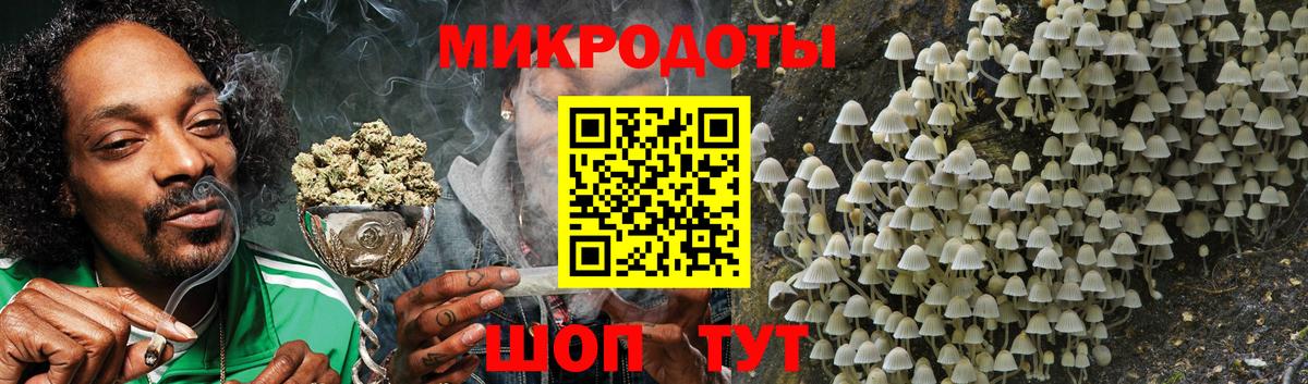 Саратов  Галлюциногенные грибы GOLDEN TEACHER  Вход с VPN 
